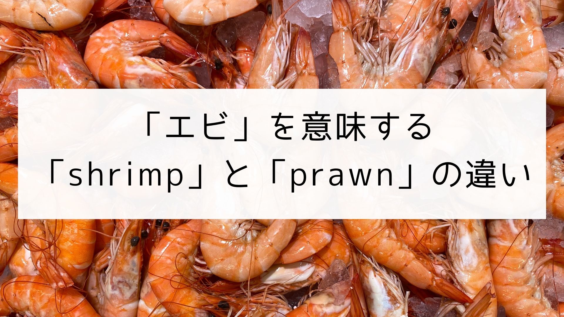 英単語 エビを意味する Shrimp と Prawn の違い 日本語教師の英語講座